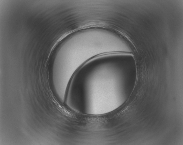 X0000052611018200507011222