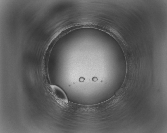 X0000052611023200507011222