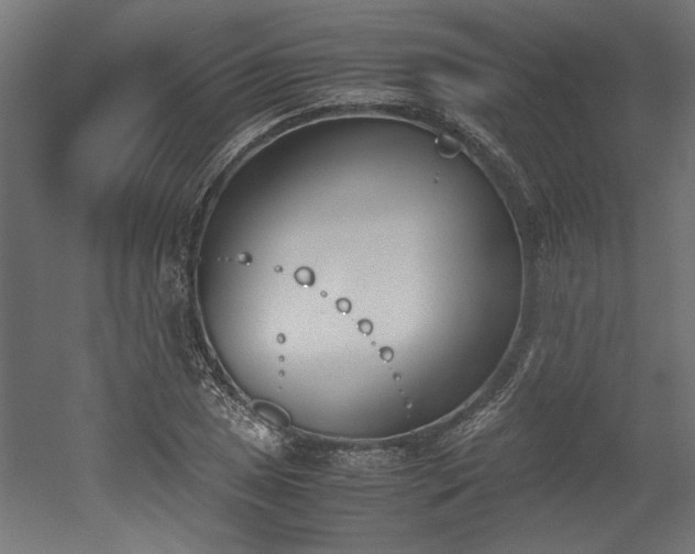 X0000052611025200507011222