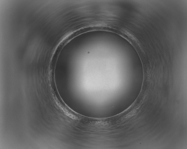 X0000052611029200507011222