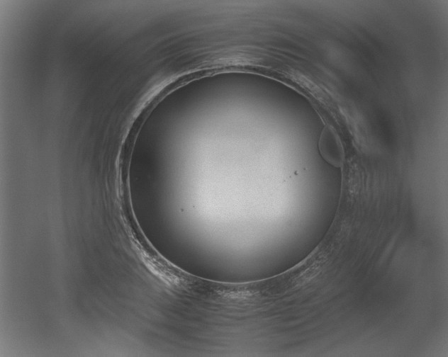 X0000052611031200507011222