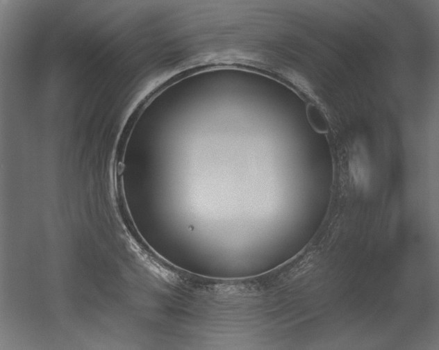 X0000052611032200507011222