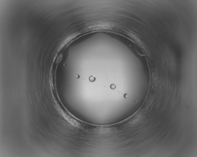 X0000052611034200507011222