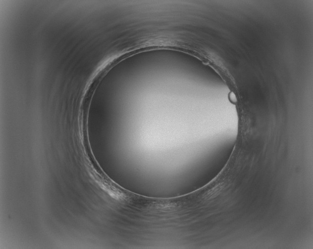 X0000052611035200507011222