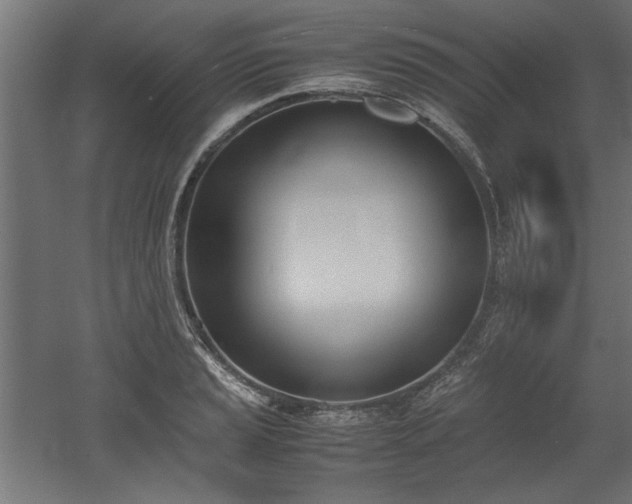 X0000052611037200507011222