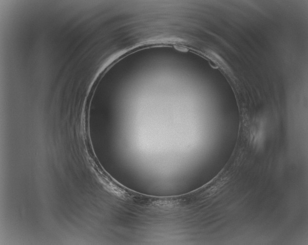 X0000052611044200507011222