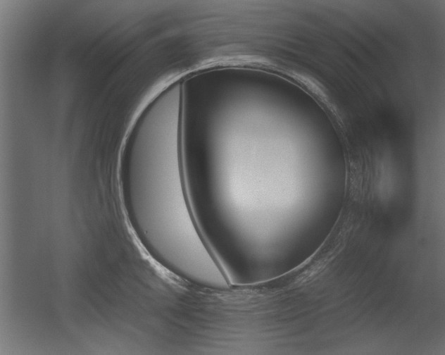 X0000052611046200507011222