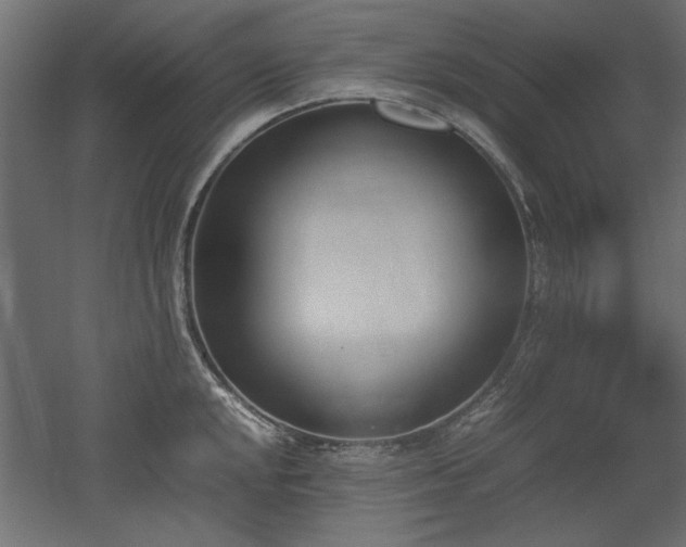 X0000052611048200507011222