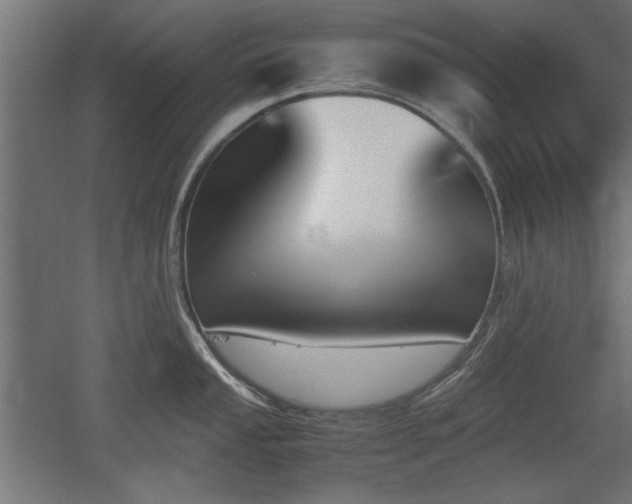 X0000052611053200507011222