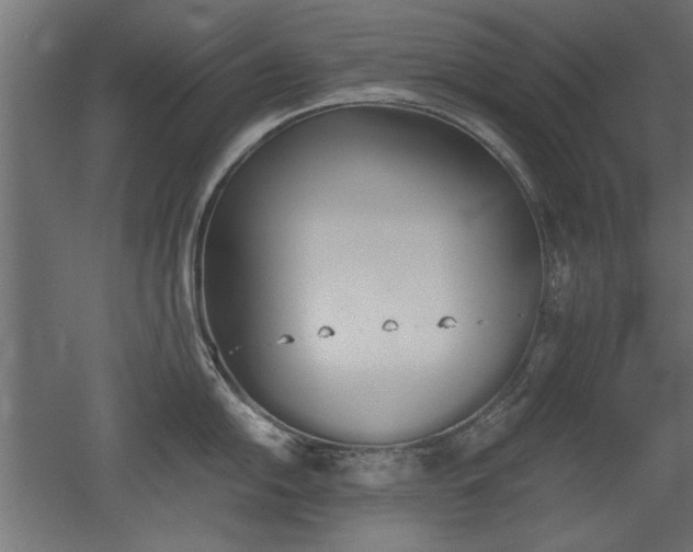 X0000052611054200507011222