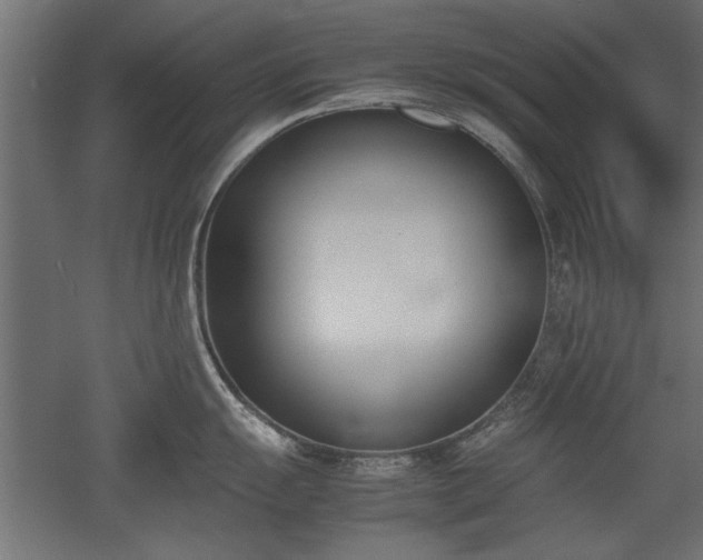 X0000052611055200507011222