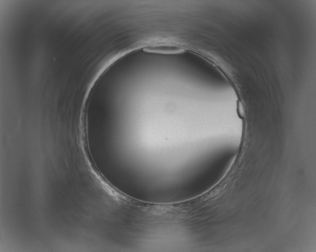 X0000052611056200507011222