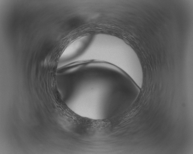 X0000052611059200507011221