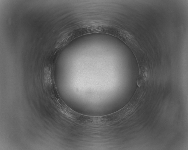 X0000052611060200507011221