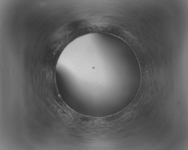 X0000052611061200507011221