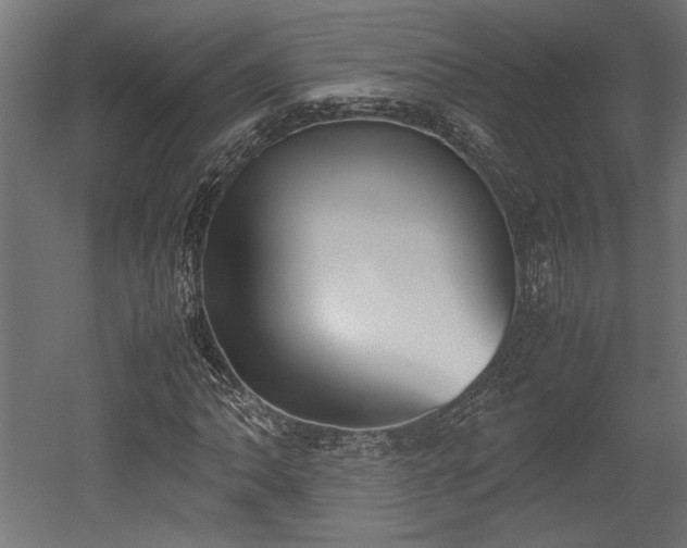 X0000052611062200507011221