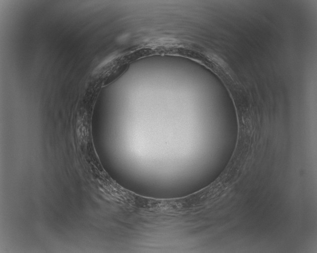 X0000052611063200507011221