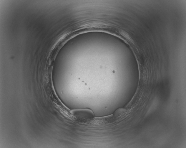 X0000052611067200507011221