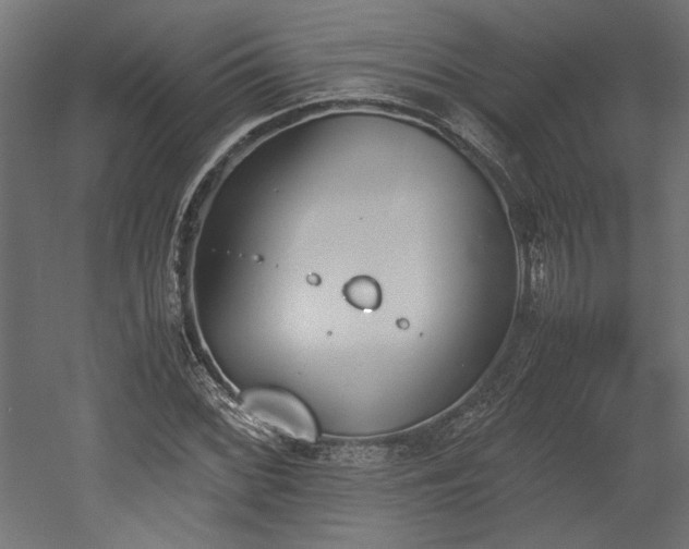 X0000052611068200507011221