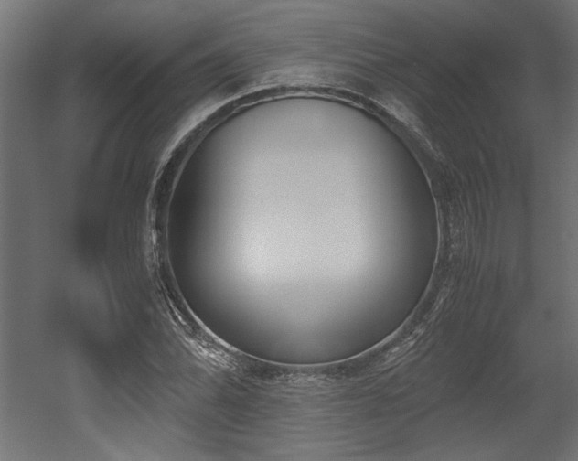 X0000052611070200507011221