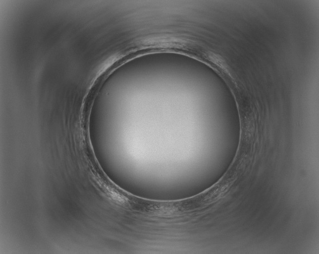 X0000052611071200507011221