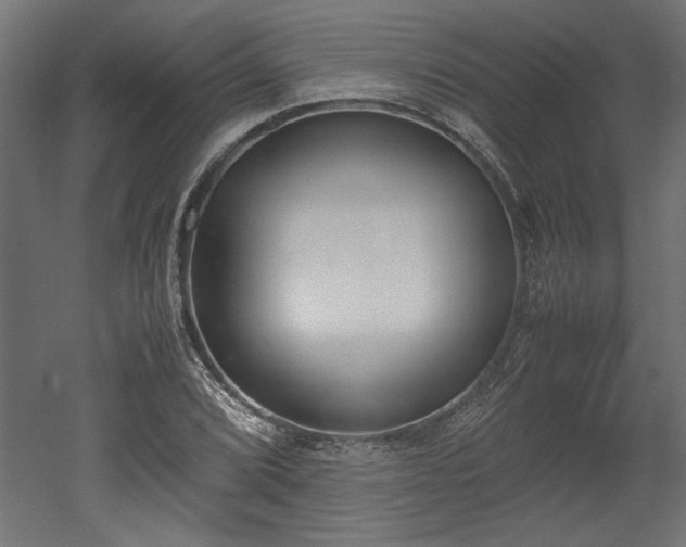 X0000052611072200507011221