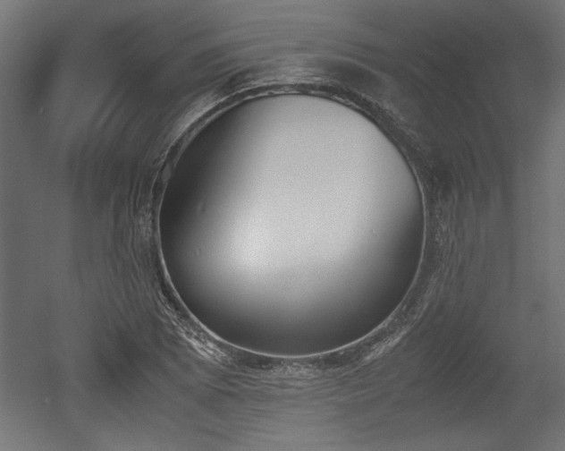 X0000052611073200507011221