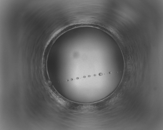 X0000052611077200507011221