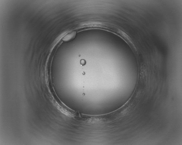 X0000052611082200507011221