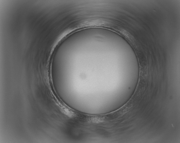 X0000052611086200507011221