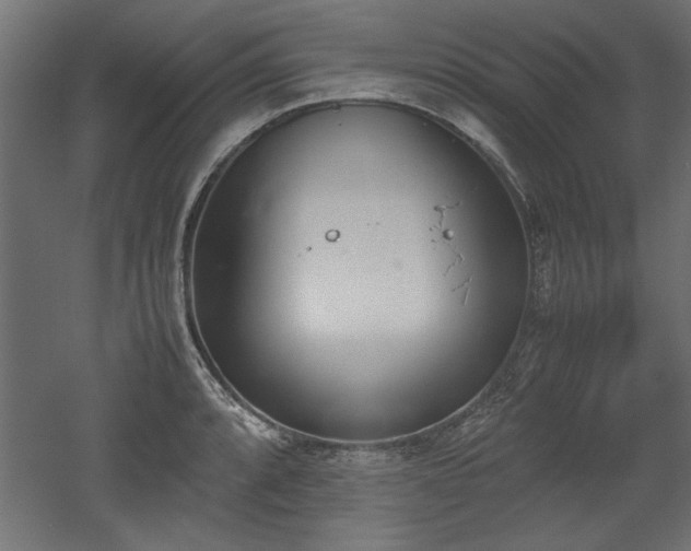 X0000052611088200507011221