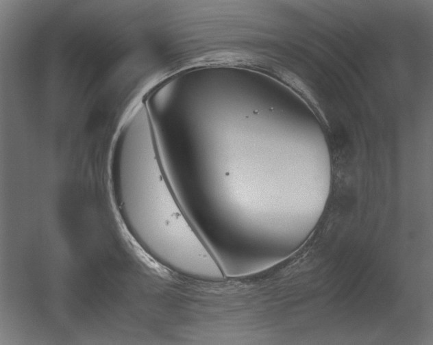 X0000052611091200507011221