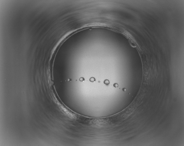 X0000052611092200507011221