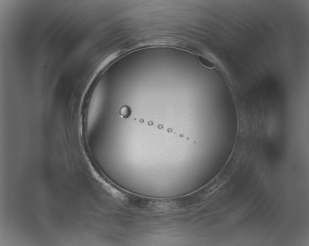 X0000052611095200507011221