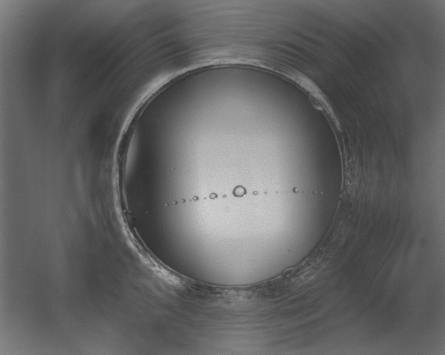 X0000052611096200507011221