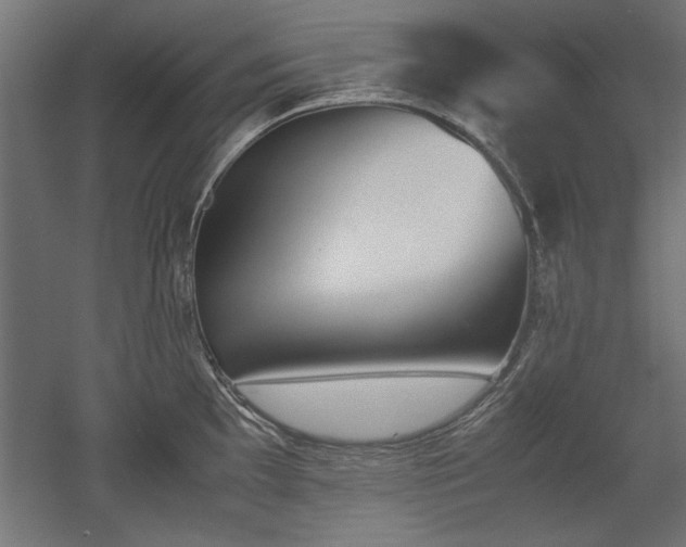 X0000052611097200507011221