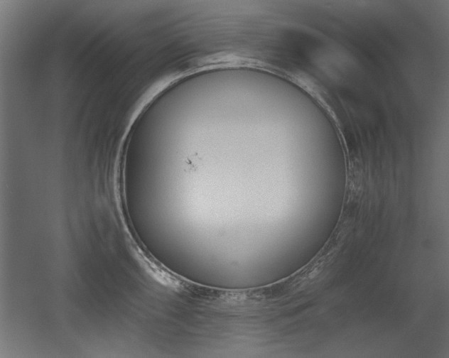 X0000052611098200507011221