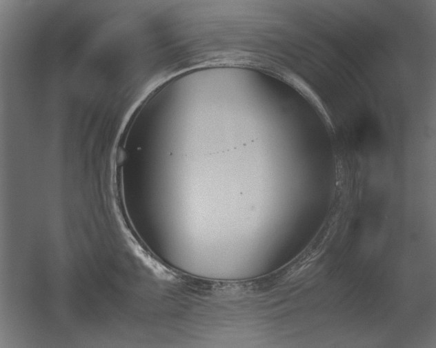 X0000052611099200507011221