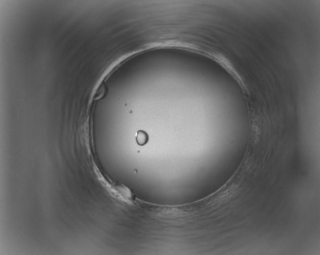 X0000052611100200507011221