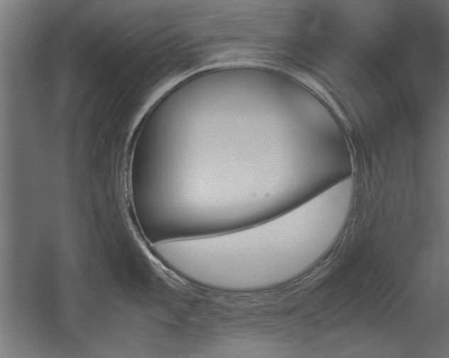 X0000052611101200507011221