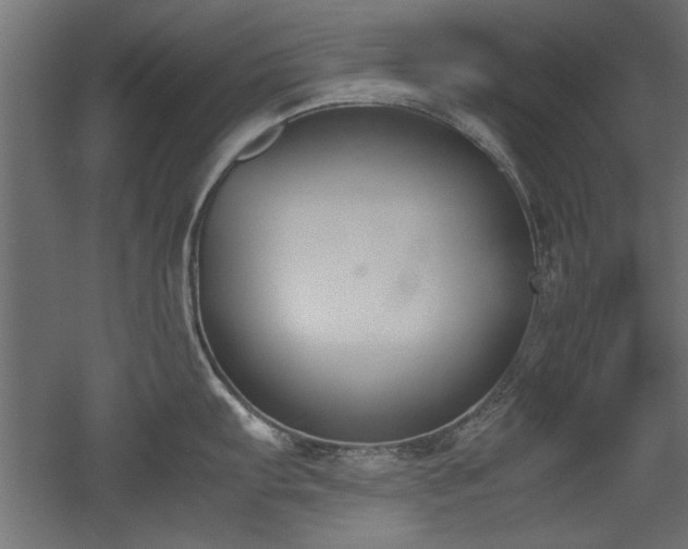 X0000052611103200507011221