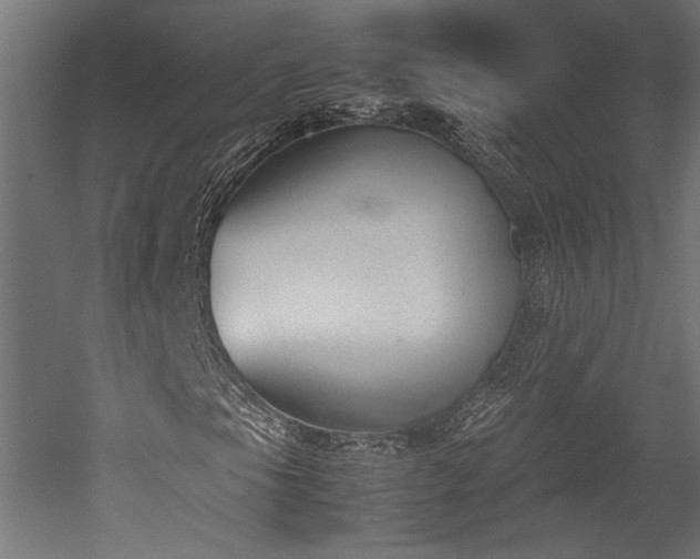 X0000052611105200507011220