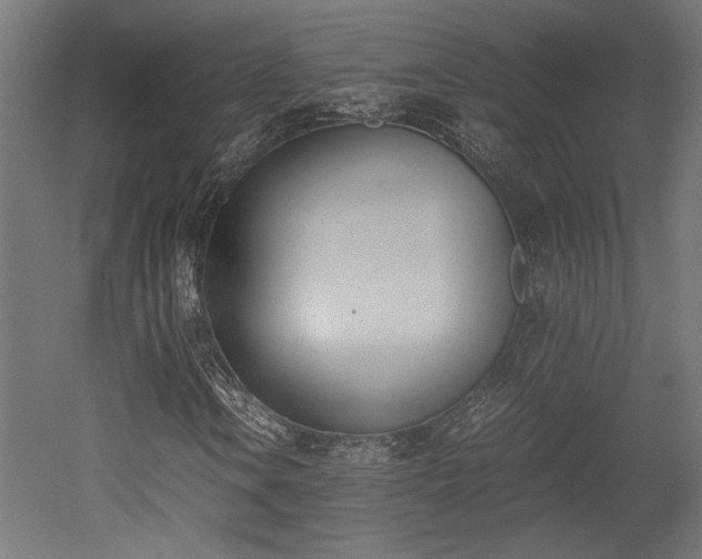 X0000052611106200507011220