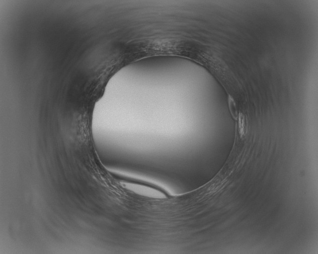 X0000052611107200507011220