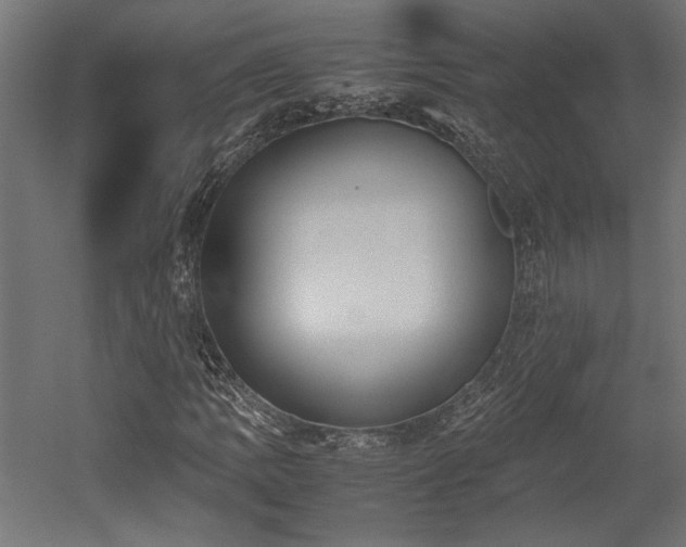 X0000052611109200507011220