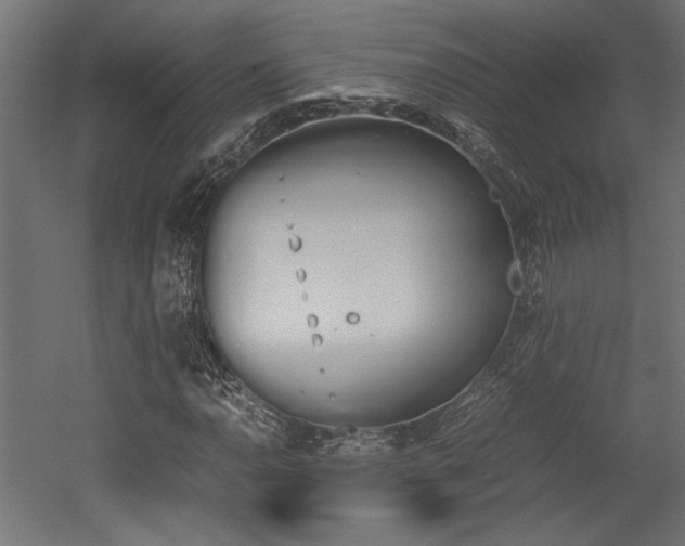 X0000052611110200507011220