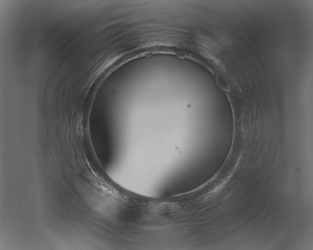 X0000052611113200507011220