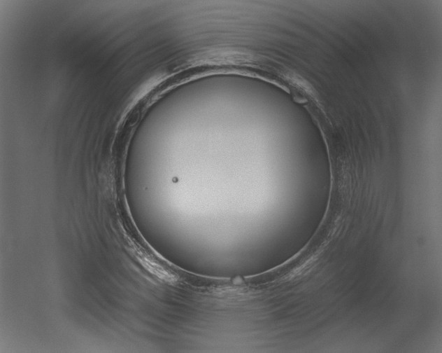 X0000052611114200507011220