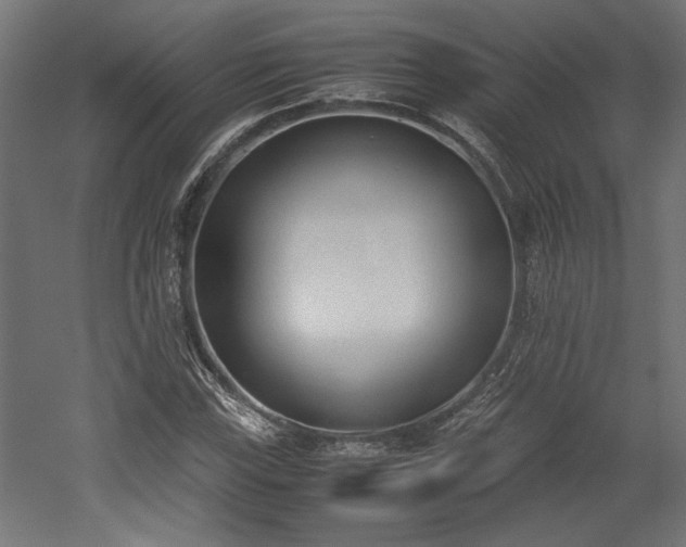 X0000052611115200507011220