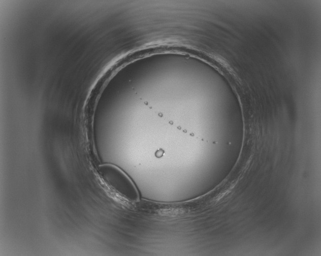 X0000052611118200507011220